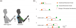 EMS motion induction