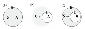 Internal Measurement