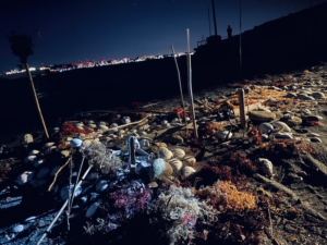 生成と制作のはざまで：海岸